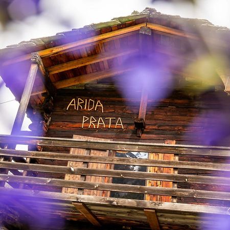 Korn-Stadel Arida Prata "Natur Pur" Грахен Экстерьер фото