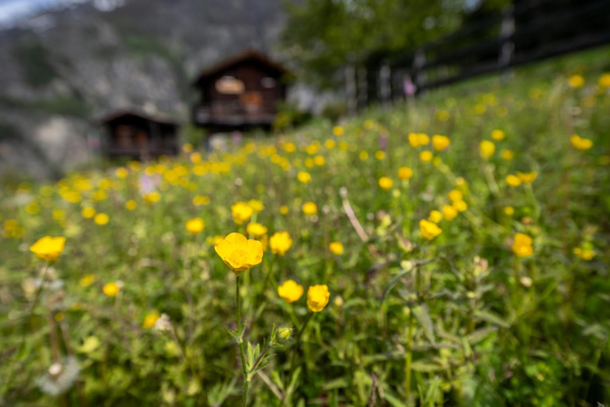 Korn-Stadel Arida Prata "Natur Pur" Грахен Экстерьер фото
